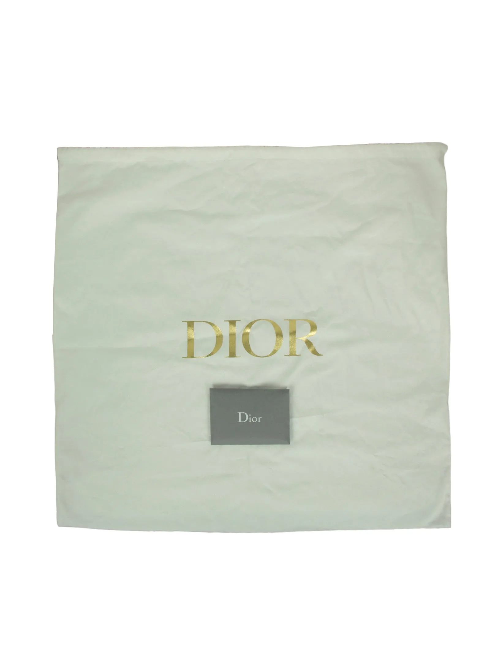 Christian Dior 2023 Black/Gold New York Medium Book Tote Bag